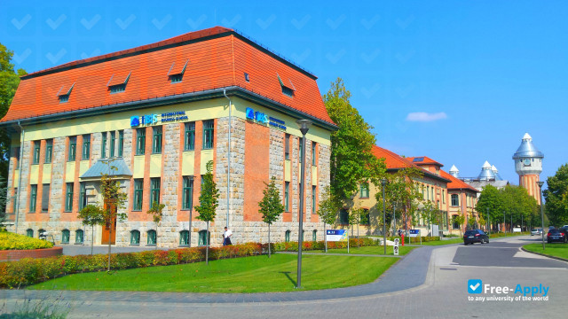 IBS International Business School